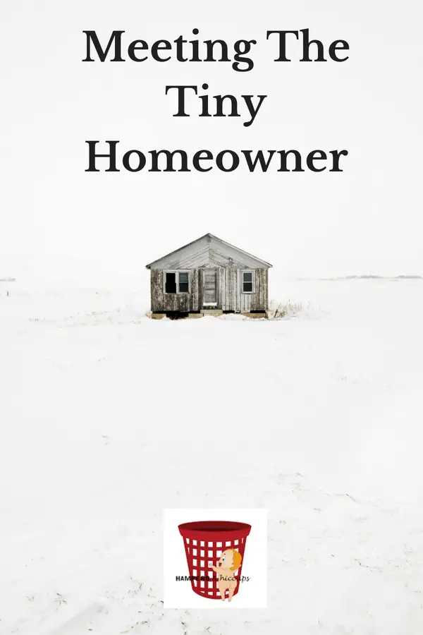 Meeting The Tiny Homeowner image tiny house in the snow hampersandhiccups