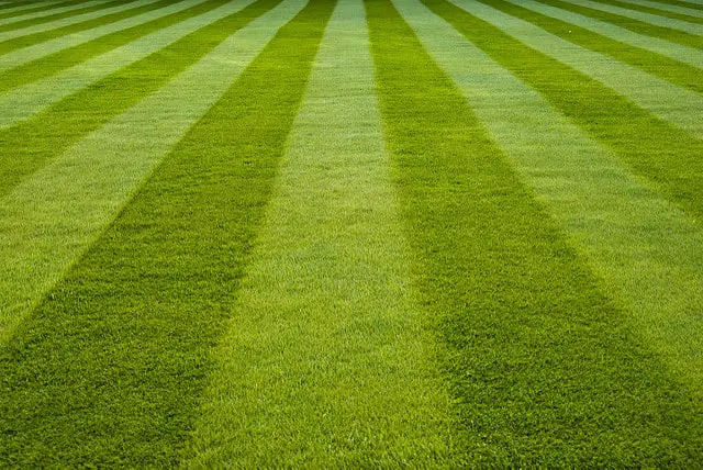 Serious Curb Appeal freshly mowed lawn