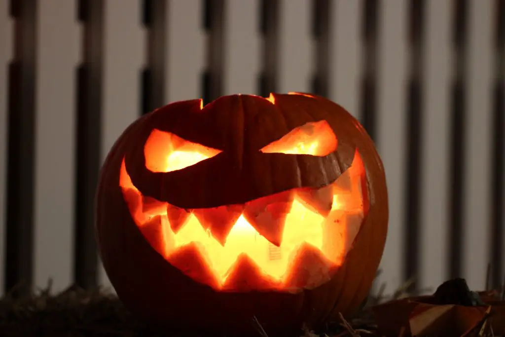 Outdoors fabulous jack o lantern
