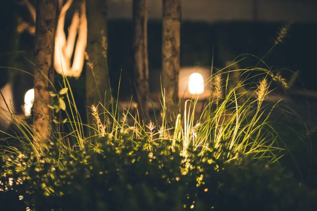 Home front exterior makeover outdoor yard lights at night